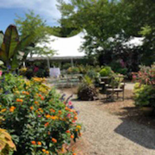 Garden Wedding Venue in Owosso, MI | Everlastings in the Wildwood